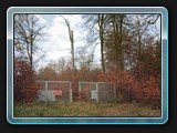 Das Tor im Wald