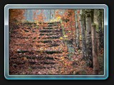 Die Treppe zum Sportplatz
