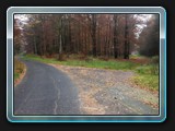 Rückweg zum Steinsitz und dem Ende der Runde