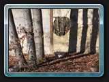 Mauerloch mit Wanne