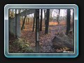1437_An der Mauer