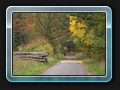 Auf dem Weg zum Steinsitz, einer Wegmarke