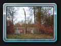 Das Tor im Wald