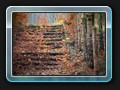 Die Treppe zum Sportplatz