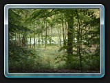 Am schwarzen See im "Schlichten Moor"