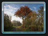 Der Weg vom Wendorfer See