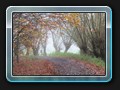 Weg am R
ande der Domwiesen