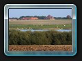 Sumpfseeblick vom Weg  Richtung L17