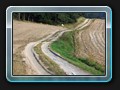 Weg um den Sumpfsee