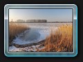 1630_Am vereisten Sumpfsee