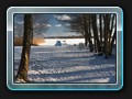 Der Nebenweg zum Inselsee bei Gutow