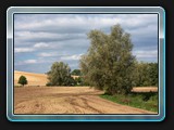 Landschaft bei Ulrichshusen