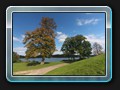 Am Ulrichshusener See