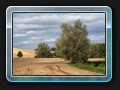 Landschaft bei Ulrichshusen