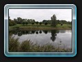 Wieder zurück vor Ulrichshusen ein kleiner Teich