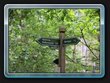 Wieder ein Wegweiser mit Abzweighinweis Richtung Rothenmoor