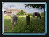 Ferienhaus mit Pferden. Nun sind wir wieder auf der alten Plauer Poststraße
