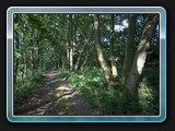 Alte Plauer Poststraße, ein uriger Weg.