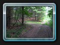 noch einmal links abbiegen...