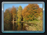 Teich im Eingangsbereich des Parks