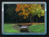 Herbst im Schlosspark Ludwigslust