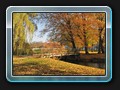 Brücke im Park