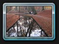 Herbst im Park, kurz vor dem runden Wasserspiel