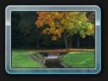 Herbst im Schlosspark Ludwigslust
