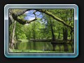 An einem kleinen Teich im Park