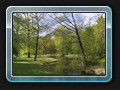 Im östtlichen Teil des Parks