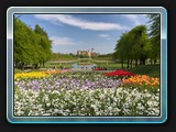 Der weite Blick zum Schloss, mit der Blütenpracht bei der BUGA natürlich besonders schön.