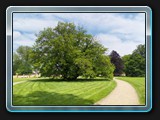Der Grünhausgarten, ein kleiner Teil des Schlossgartens.