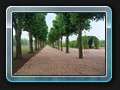 Allee im Schlosspark