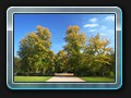 Frühherbst im Schlosspark