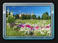 Schloss mit Blumen