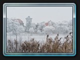 Reif am Faulen See
