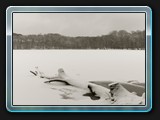 Winterbild am Faulen See