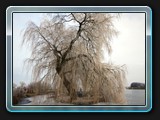Liebesinsel im Winter