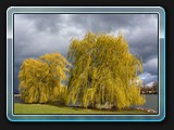 Liebesinsel im Herbst