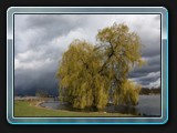 Die Liebesinsel an der Burginsel, eines meiner Lieblingsmotive iun Schwerin