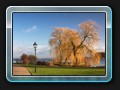 Blick auf die Liebesinsel im Frühling