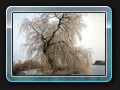 Liebesinsel im Winter