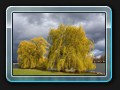Liebesinsel im Herbst
