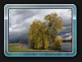 Die Liebesinsel an der Burginsel, eines meiner Lieblingsmotive iun Schwerin