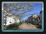 Claus Jesup Straße