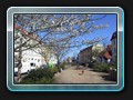 Claus Jesup Straße